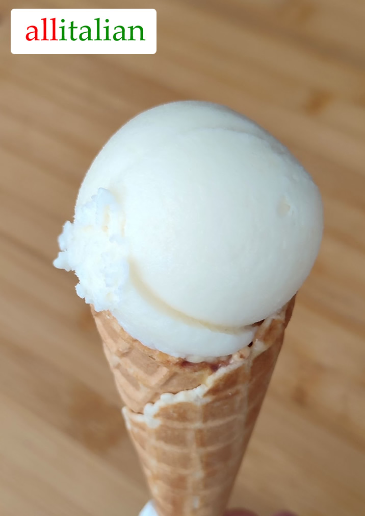 Homemade pineapple coconut ice cream