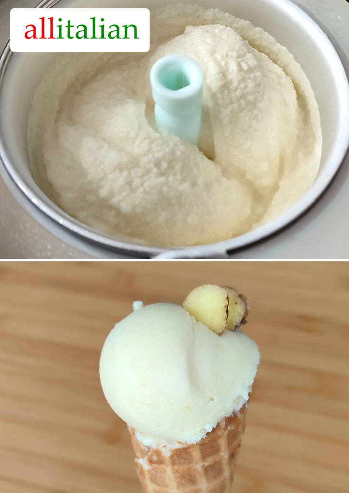 Vegan ginger ice cream homemade with ice cream maker