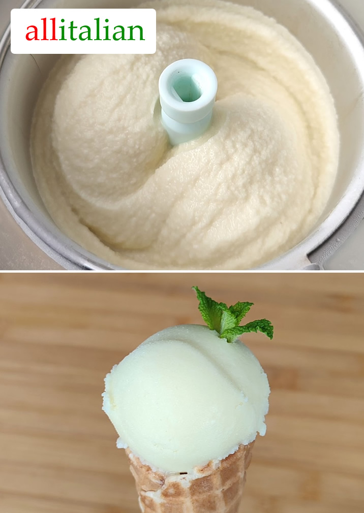 Vegan mint ice cream homemade with ice cream maker