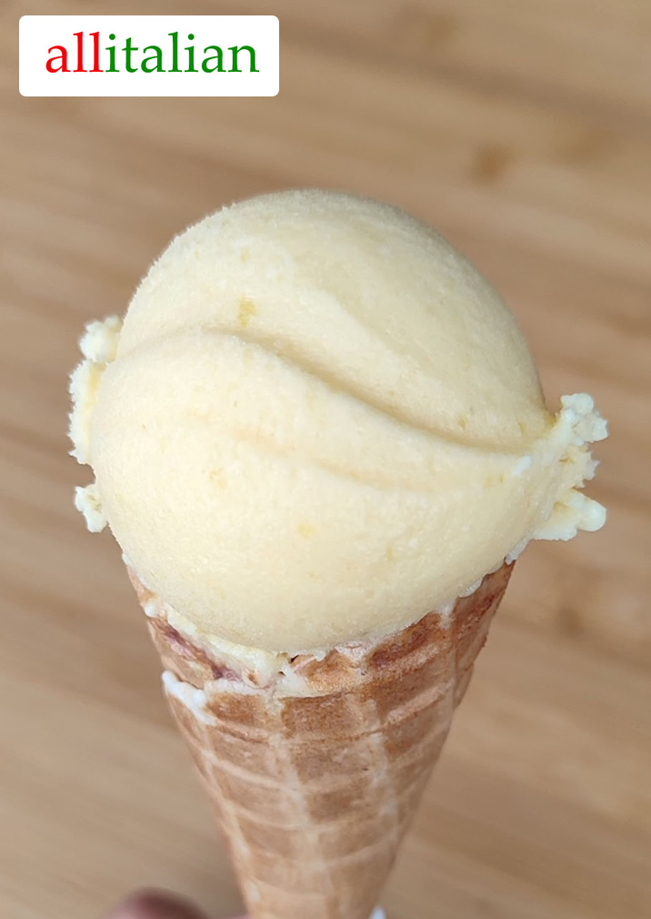 Vegan mango coconut ice cream homemade with ice cream maker