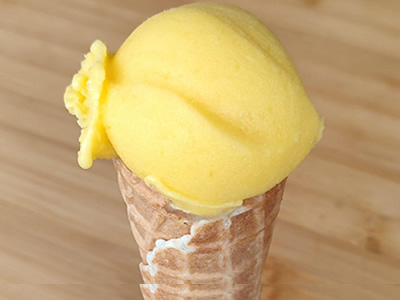 Homemade sorbet ice cream with the ice cream maker