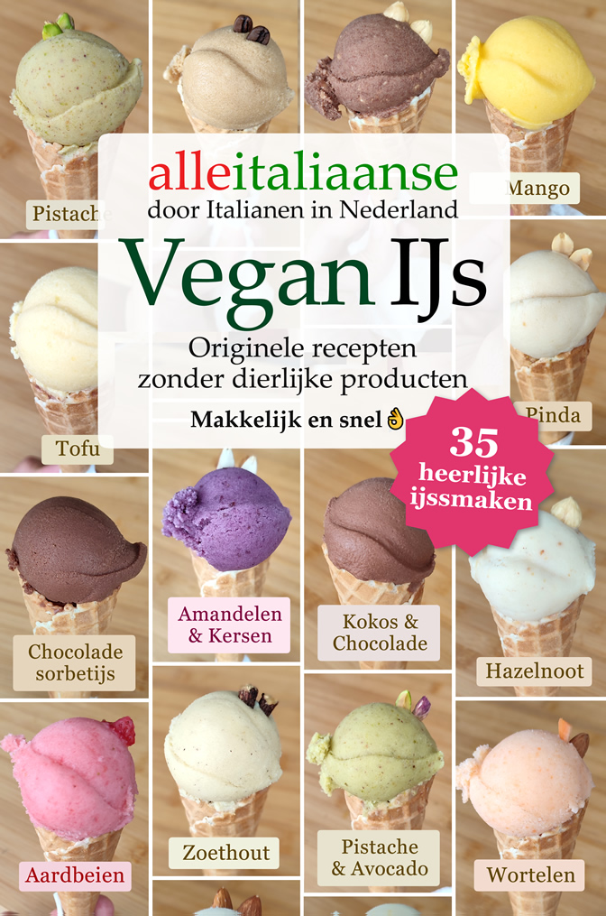 Vegan IJsrecepten boek